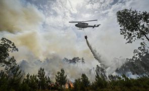 Fogo no concelho de Castelo Branco mobiliza 156 operacionais e seis meios aéreos