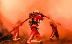 Bombeiro morre a combater fogo que destruía automóveis em França