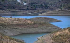 Quantidade de água retida aumenta em quatro bacias hidrográficas e desce em oito