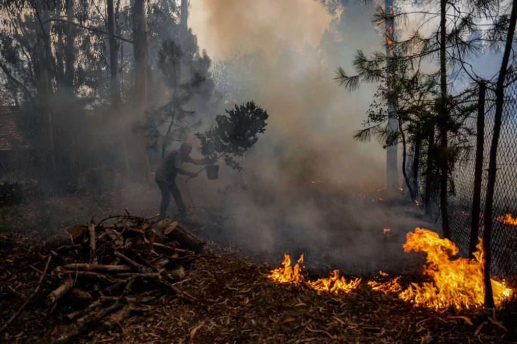 35 concelhos do interior Norte e Centro e Algarve em perigo máximo de incêndio
