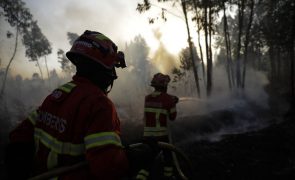 Dezanove concelhos de 4 distritos em perigo máximo de incêndio