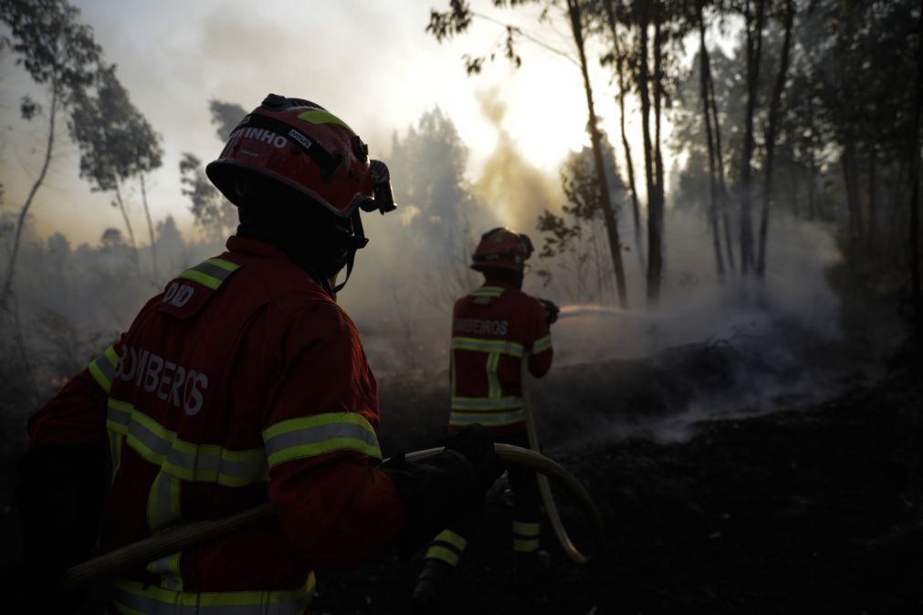 Dezanove concelhos de 4 distritos em perigo máximo de incêndio