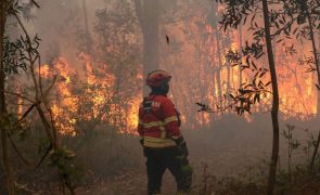 Mais de 40 concelhos de oito distritos em perigo máximo de incêndio