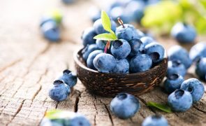 Alimentação - 5 alimentos que são os melhores amigos do cérebro e da memória