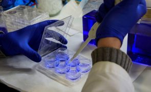 Identificados compostos que potenciam novas soluções no tratamento oncológico