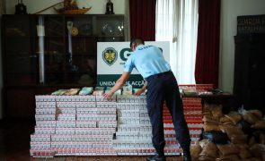 GNR apreende 500 mil cigarros de contrabando na Maia