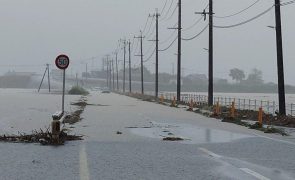 Pelo menos seis mortos no Japão devido ao mau tempo