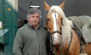 João Moura Vai ser julgado em setembro por maus-tratos a animais