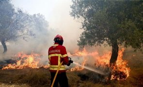 Combate a fogo em Sabrosa mobiliza 130 operacionais