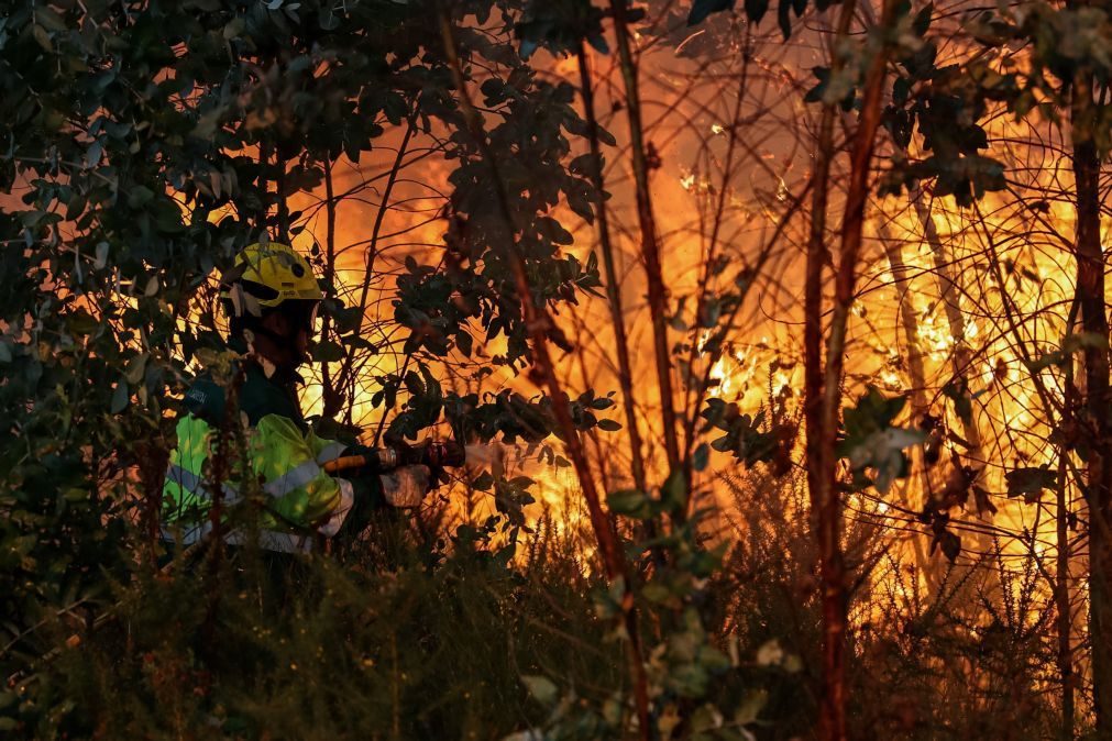 Cerca de 70 concelhos de oito distritos em perigo máximo de incêndio