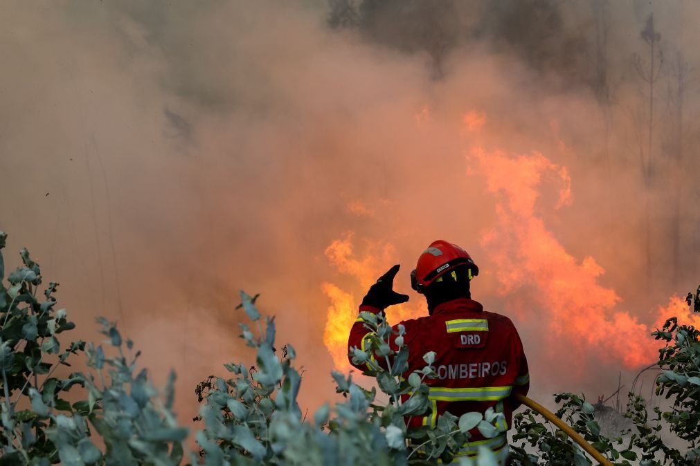 Dezoito concelhos de três distritos em perigo máximo de incêndio