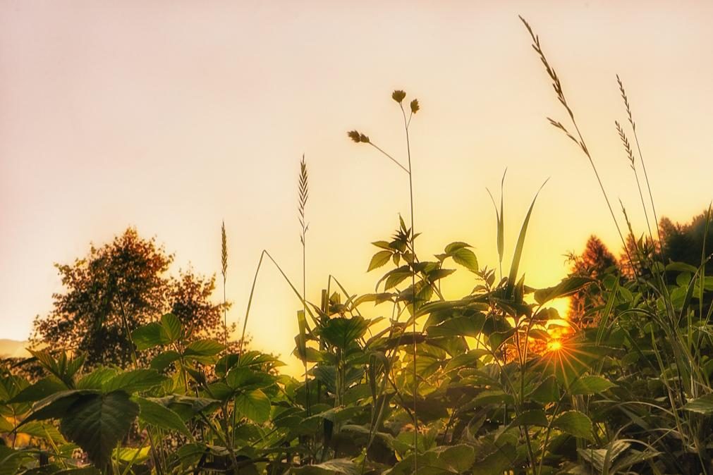 Semana começa com temperaturas próximas dos 40º em algumas regiões