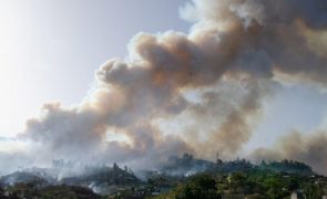 Baixas temperaturas ajudam no combate a incêndio na ilha espanhola de La Palma