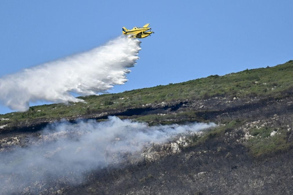 Quase 9 mil hectares de área ardida em 2023 menos 40% do que a média