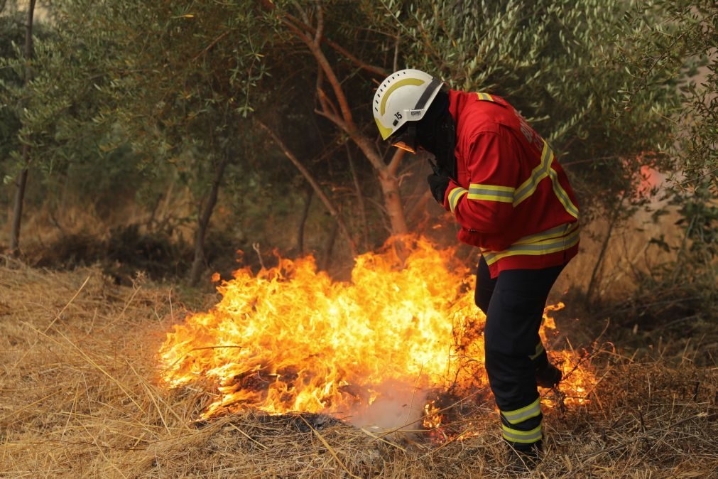 Mais de 20 concelhos de cinco distritos em perigo máximo de incêndio