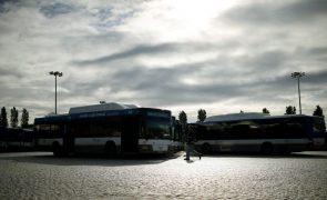 Número de passageiros da STCP aumenta 13% no 1.º semestre face a 2022