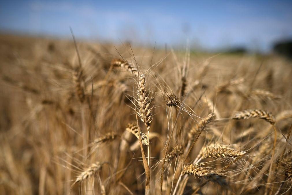 Zelensky garante exportações de cereais apesar de decisão russa