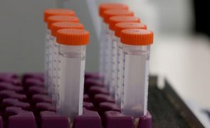 Novo medicamento para Alzheimer pode retardar a doença, mas com riscos -- estudo
