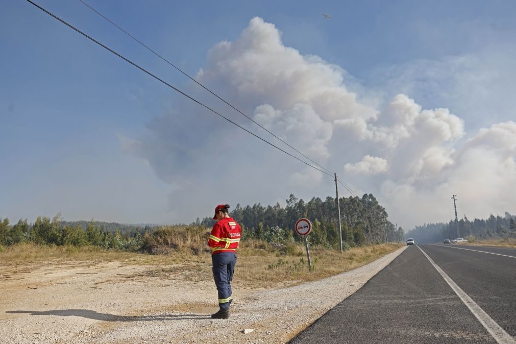 Incêndios: IC8 e EN2 reabertos e falta dominar 10% do fogo e Pedrógão Pequeno, na Sertã