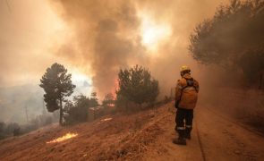 Mais de 50 concelhos de sete distritos em perigo máximo de incêndio