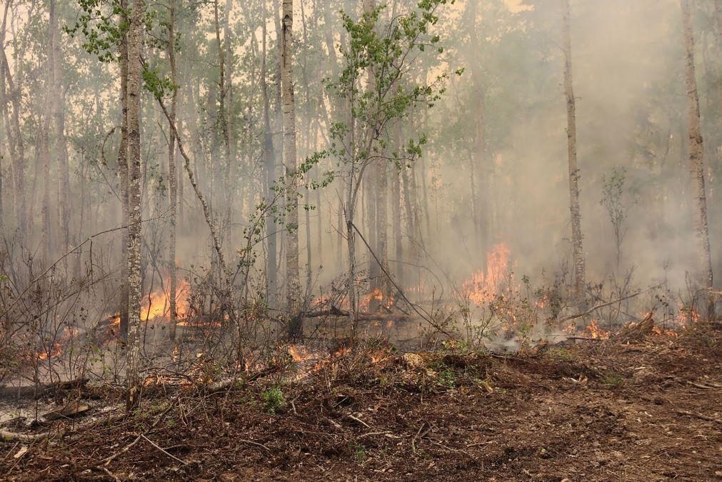 Brasil envia mais de 100 especialistas para ajudar no combate aos incêndios no Canadá