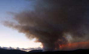 Doze meios aéreos e 273 operacionais combatem fogo na Covilhã