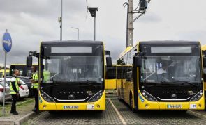 Alsa Todi quer mais faixas 'bus' para melhorar transporte rodoviário de passageiros para Lisboa