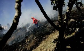 Vinte e cinco concelhos de cinco distritos em perigo máximo de incêndio