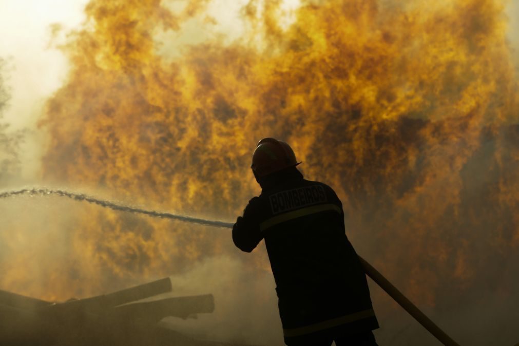 Mais de 442 mil hectares ardidos no pior ano de sempre em Portugal
