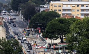 'Metrobus' do Porto levanta velhos carris e uniformiza Avenida da Boavista