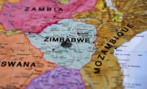África do Sul ergue muro de betão para estancar saída de viaturas roubadas para Moçambique