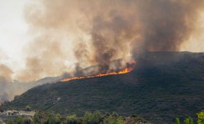 Grécia com nível recorde de emissões de carbono no mês de julho -- Copernicus
