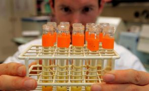 Estudos sugerem que cancro do endométrio pode ser detetado numa amostra de urina