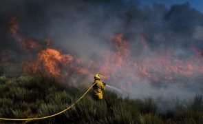 Incêndio em Almodôvar mobiliza 375 operacionais e 13 meios aéreos