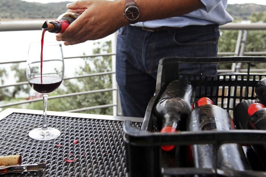Exportações de vinhos do Alentejo sobem 22% em valor e 11% em quantidade até setembro