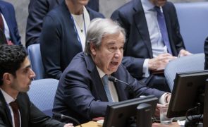 ONU alerta que 