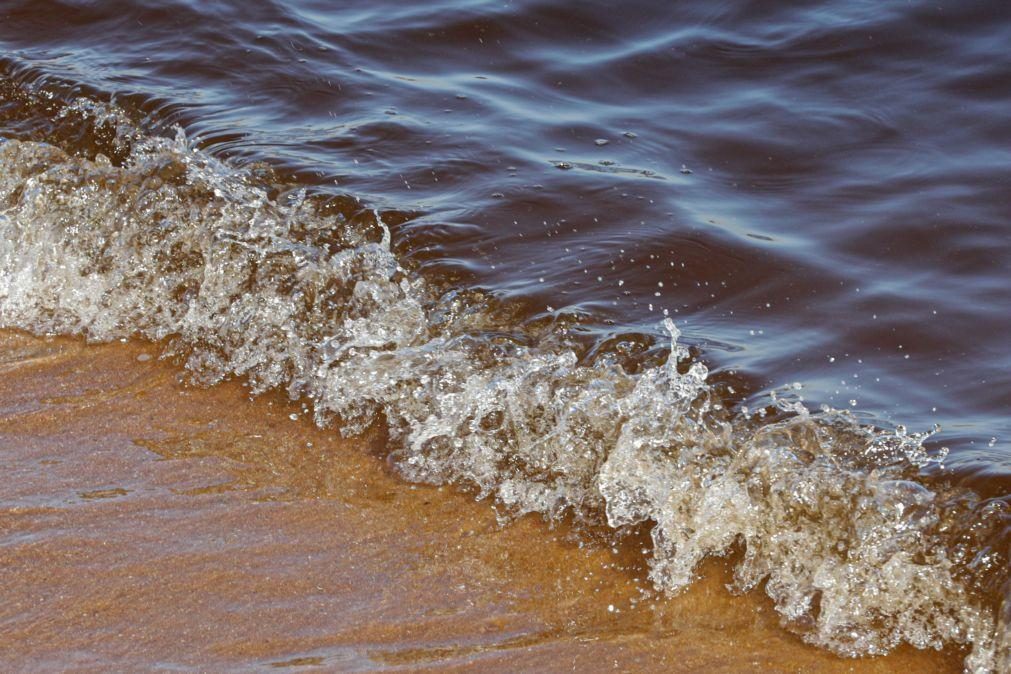 Contaminação microbiológica Interdita banhos na praia de Olhos d'Água em Albufeira