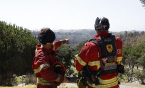Quase três dezenas de concelhos do país em risco máximo de incêndio