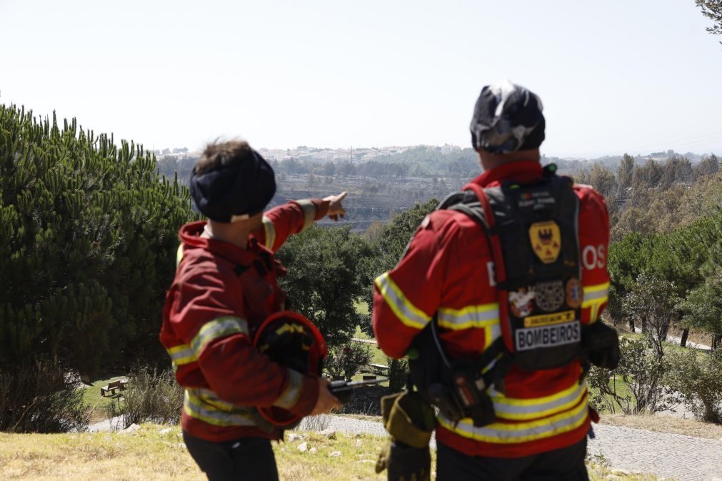 Quase três dezenas de concelhos do país em risco máximo de incêndio