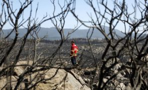 2023 com menos 27% de fogos rurais e menos 70% de área ardida