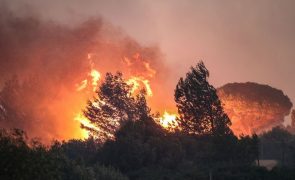 Cerca de 60 concelhos de oito distritos em perigo máximo de incêndio