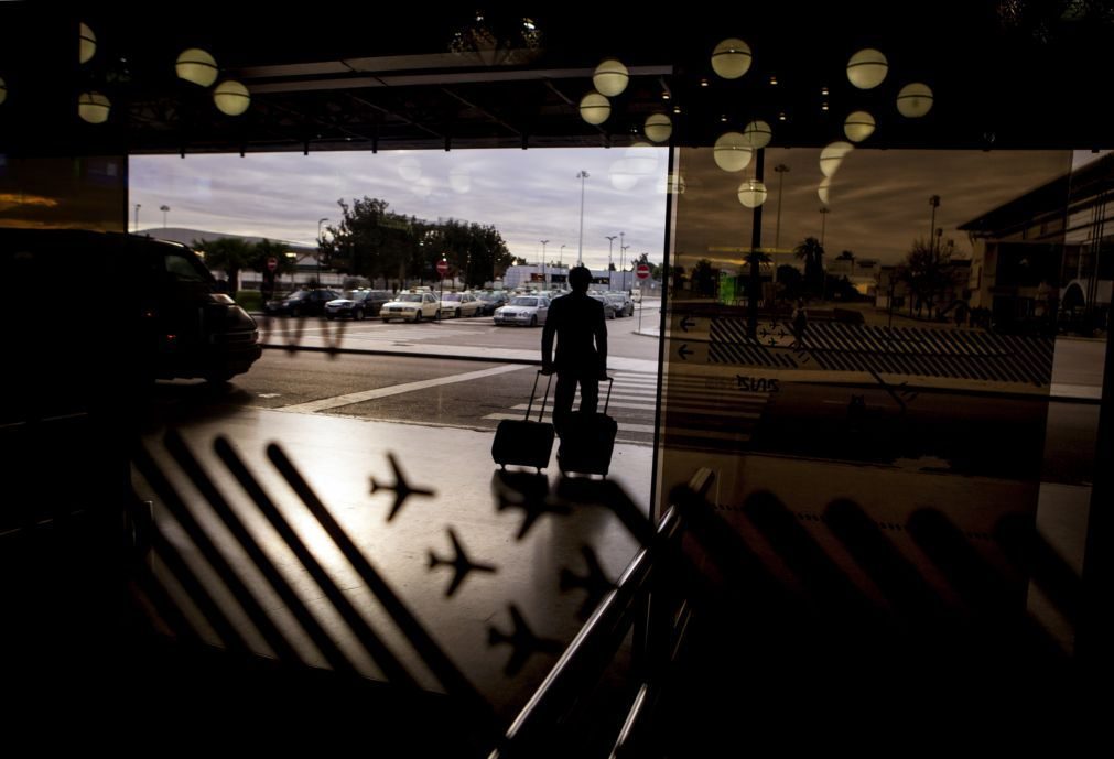 Casal detido em aeroporto com 3,6kg de cornos de rinoceronte