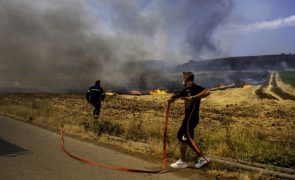 Grécia planeia punições mais pesadas para pirómanos após vaga de incêndios florestais