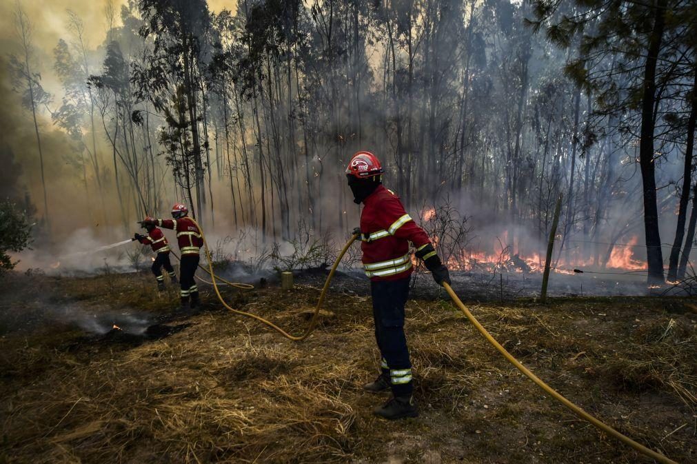 Nove meios aéreos e quase 200 operacionais combatem fogo em Ourém