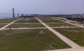 PSP alerta para cortes no trânsito sábado devido aos peregrinos que vão para Parque Tejo