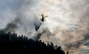 Dez meios aéreos e 289 operacionais combatem fogo em Castelo Branco