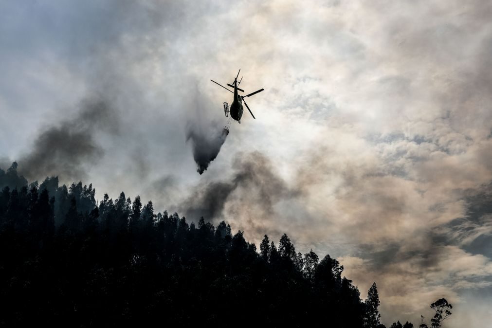Dez meios aéreos e 289 operacionais combatem fogo em Castelo Branco