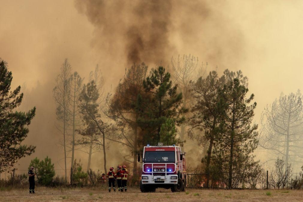 Mais de 1100 operacionais combatem fogo em Castelo Branco, autarca espera noite