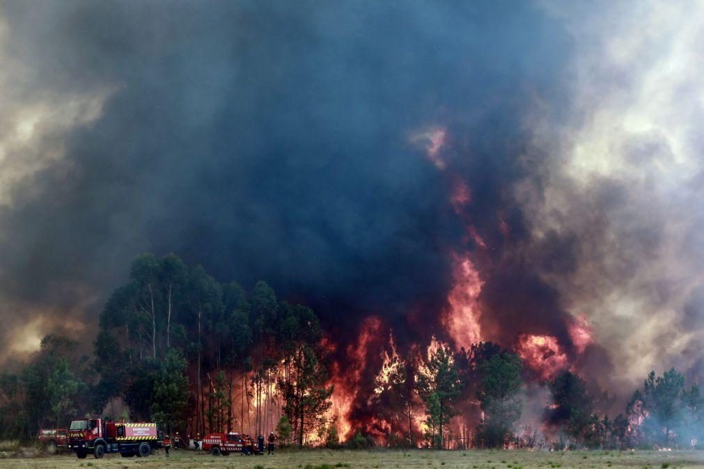 Incêndios em Castelo Branco e Odemira ainda preocupam Proteção Civil