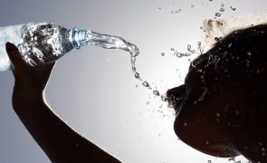 Lisboa hoje sob aviso vermelho e 14 outros distritos com aviso laranja até terça-feira devido ao calor
